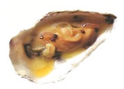 recette huîtres spéciales Ancelin 17 Bourcefranc le Chapus