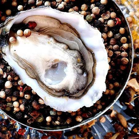 Huîtres Spéciales Ancelin Marennes Oléron et Normandie