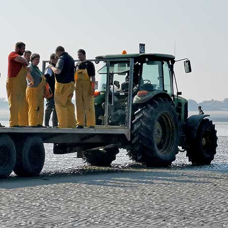 Huîtres Spéciales Ancelin Marennes Oléron et Normandie