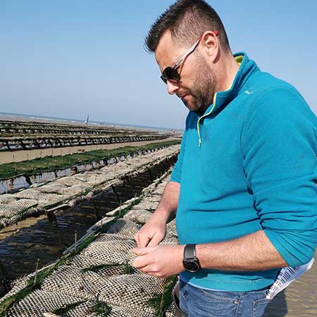 Huîtres Spéciales Ancelin Marennes Oléron et Normandie